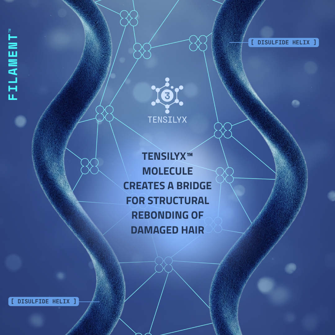 TS.02/Tt : Tensile Strength Hair Treatment Mask