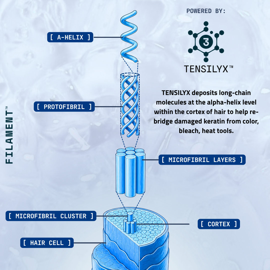 TS.02/Tt  :  Tensile Strength Hair Treatment Mask